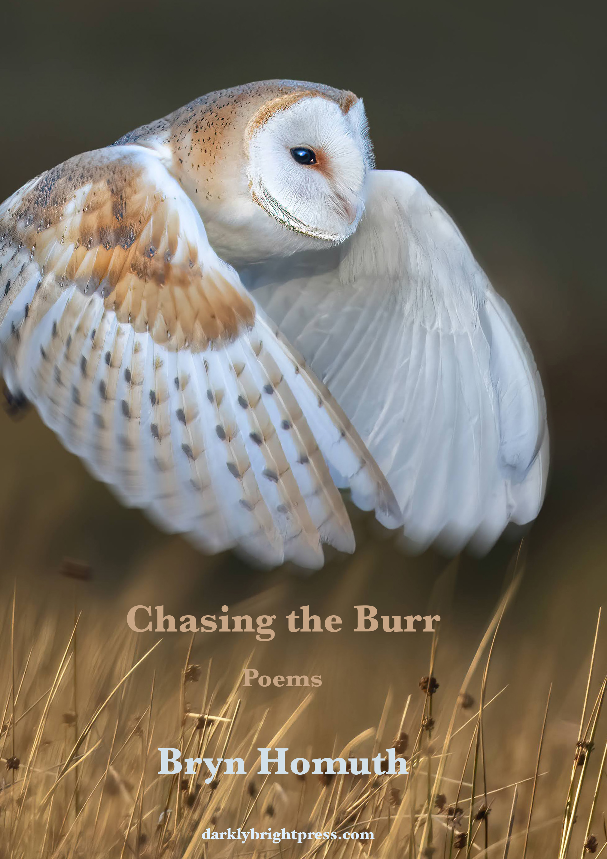Burr graphic 1