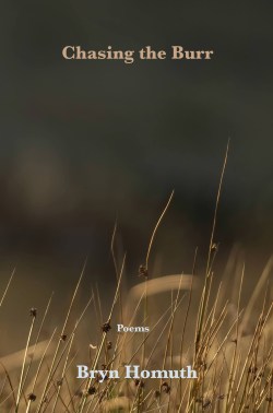 Burr web cover