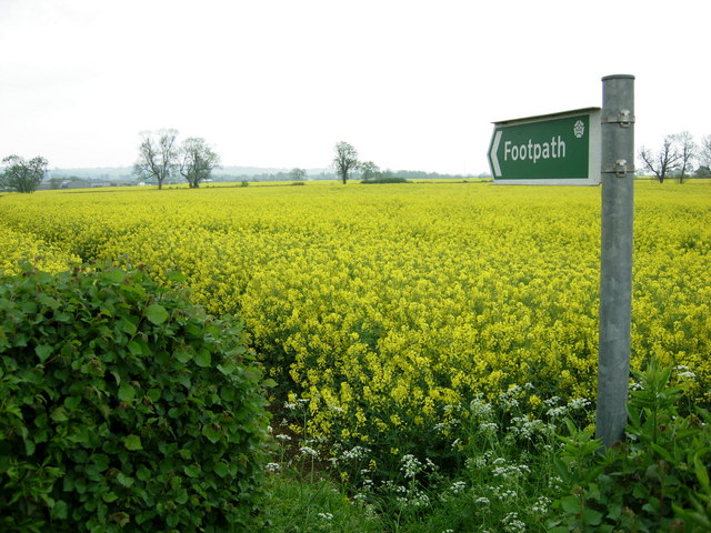 Footpath-near-Bugbrooke-by-Stephen-McKay